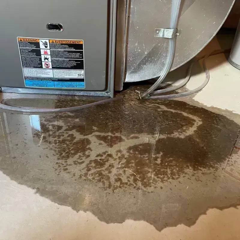 Appliance Leak Cleanup in Lake Holiday, IL